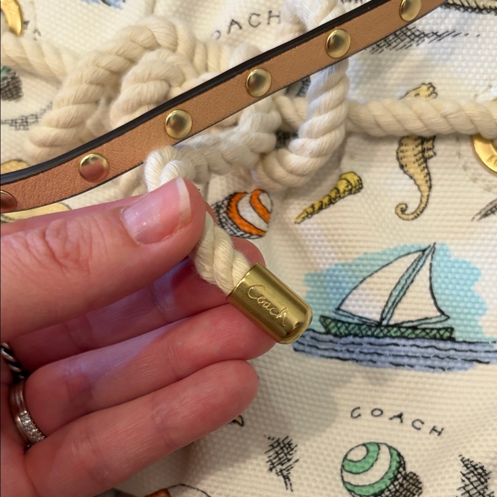 Coach Limited Edition 2010 Pierre Le Tan Large Beach Wristlet - Picture 9 of 9
